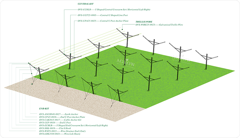 Offenes Giebel-Gitter-System f&uuml;r Weinberge -AGROW-AGTEK.jpg
