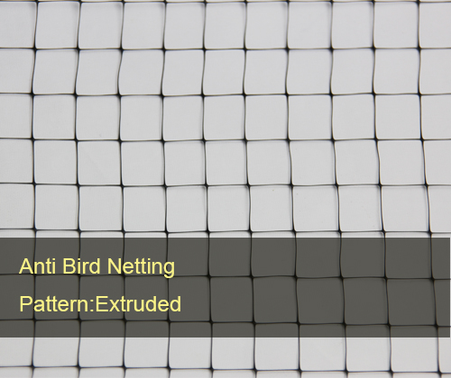 Anti Bird Nets extrudiert.jpg