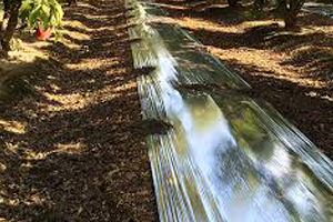 Reflektierende Filme 300x200.jpg