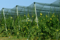 Agtek + Gable Orchard Hagelschutznetzsystem