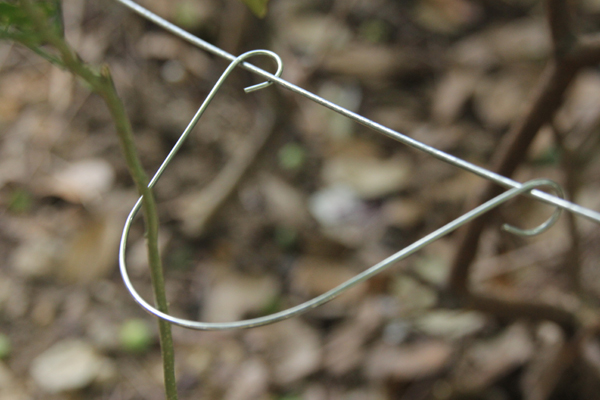 Clip f&uuml;r vertikale Linie Post.jpg