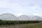 Multi-Bay Poly Tunnel Hoop Haus